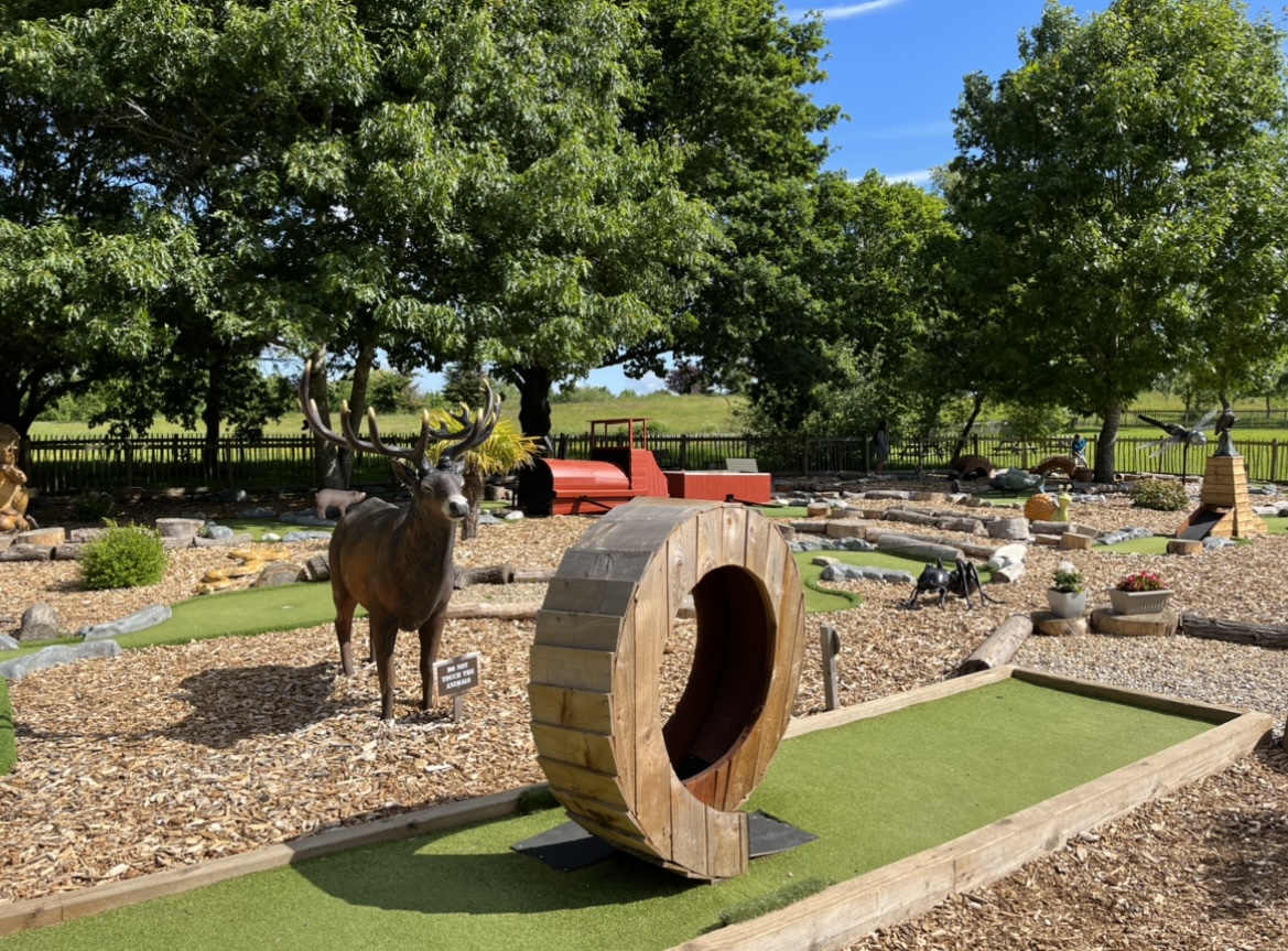 Adventure Golf Course in Wokingham and Reading  | Dinton Adventure Golf gallery image 5